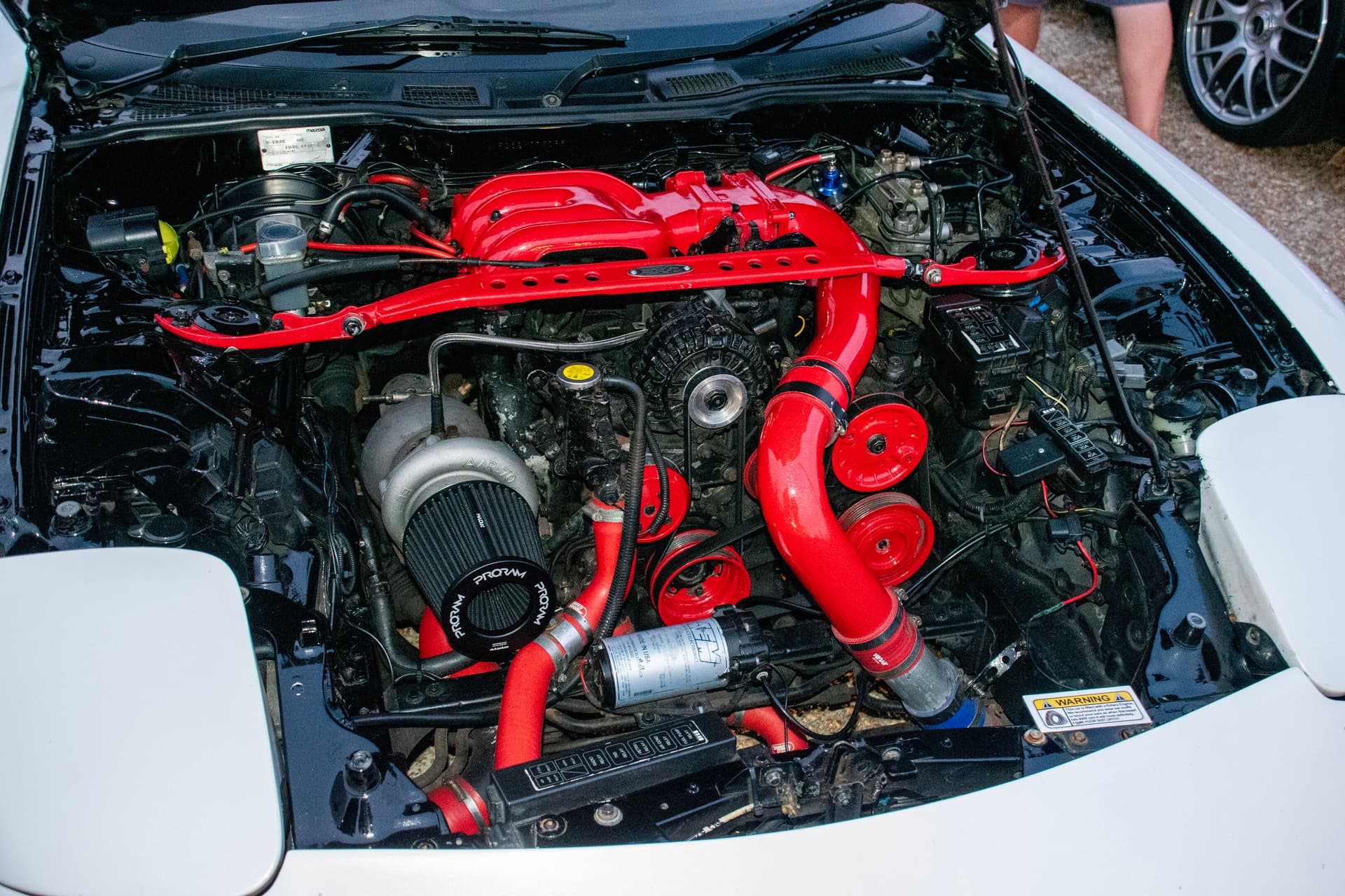 56-DSC_0109