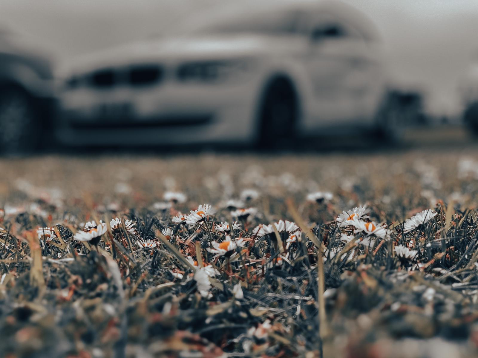 2B455CA7 F584 4CBD B377 DA56C31228C4