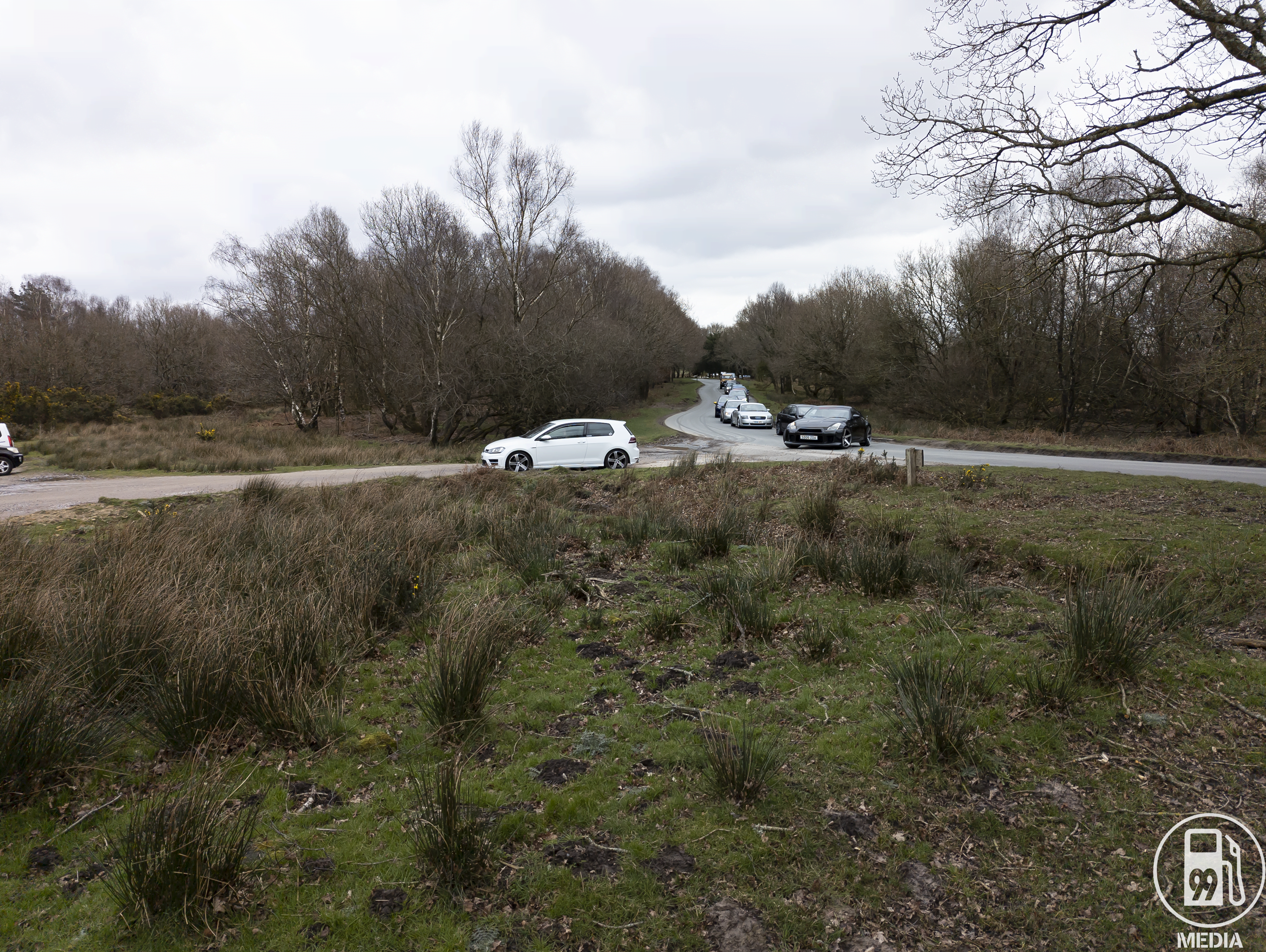 PXL 20220306 130316250