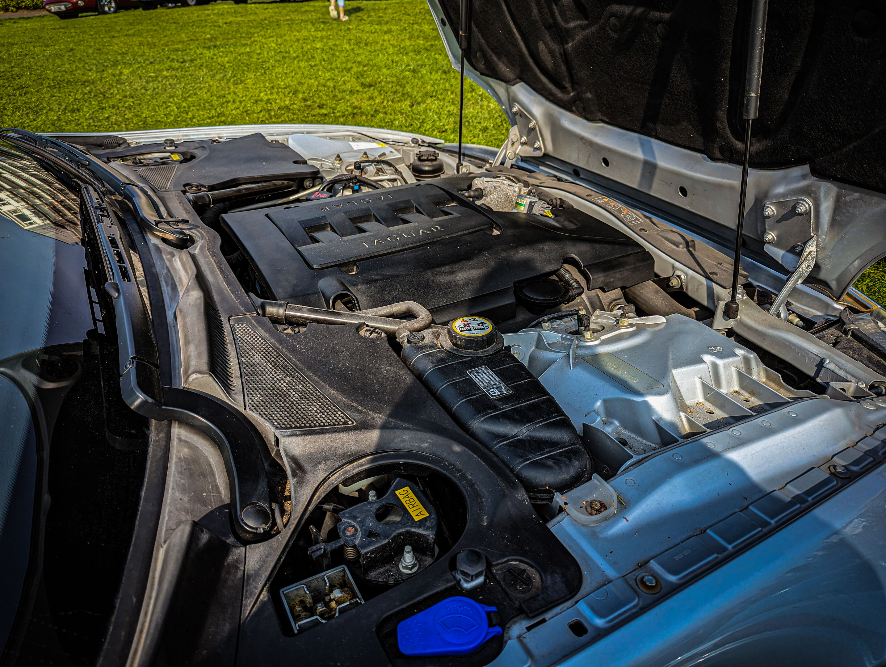 PXL 20230430 083125016